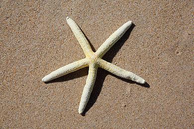 《午夜杀生重制版》曝光吸血鬼猎人克里斯托夫预告